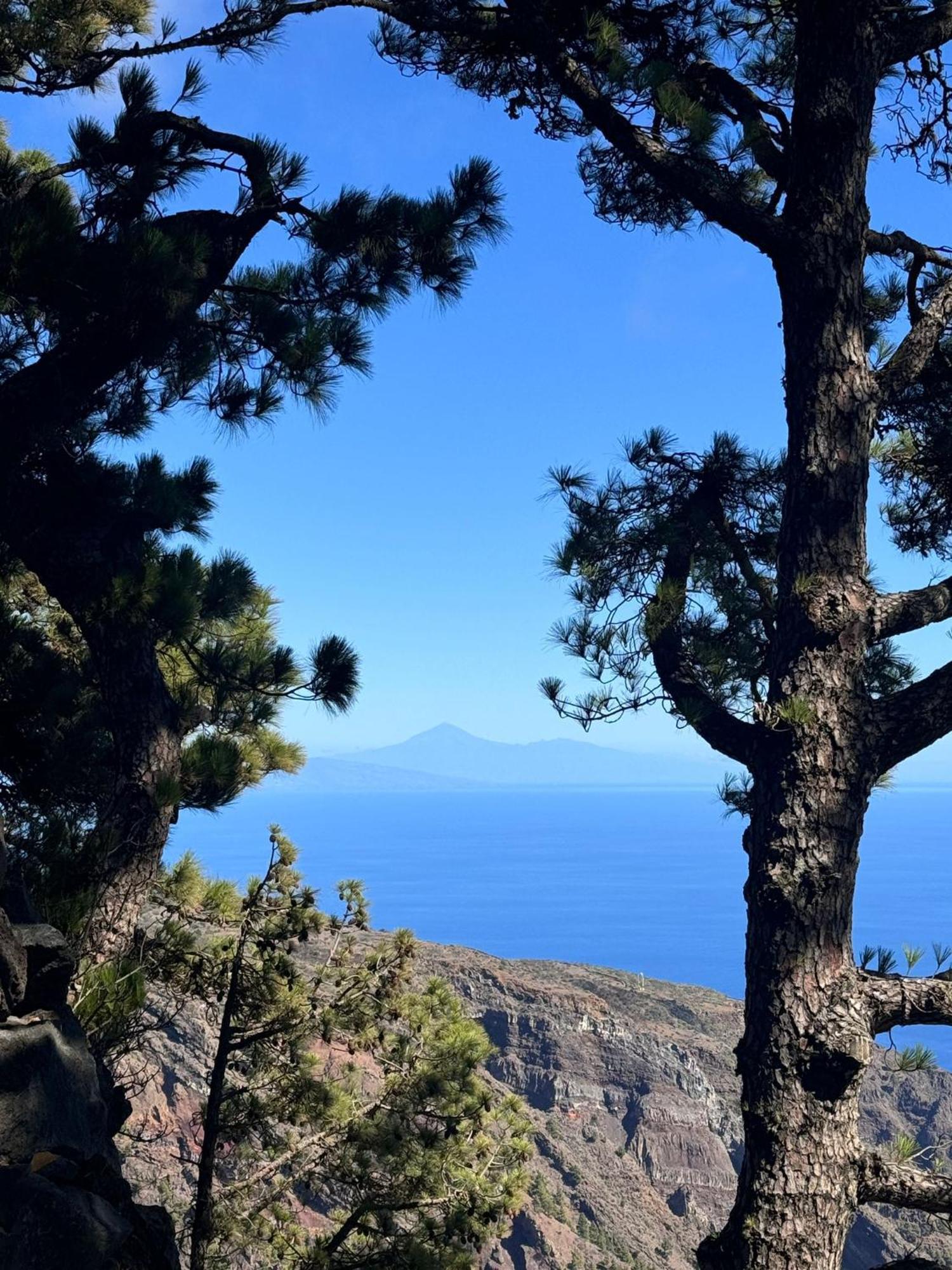 Apartamento El Rincon La Restinga Rom bilde